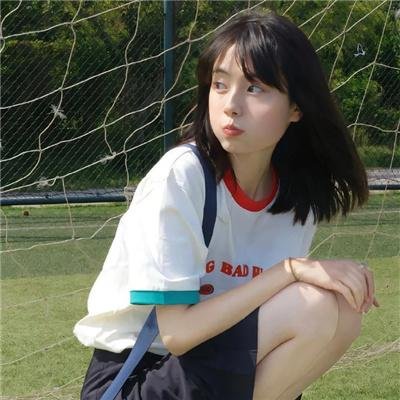 法网追凶